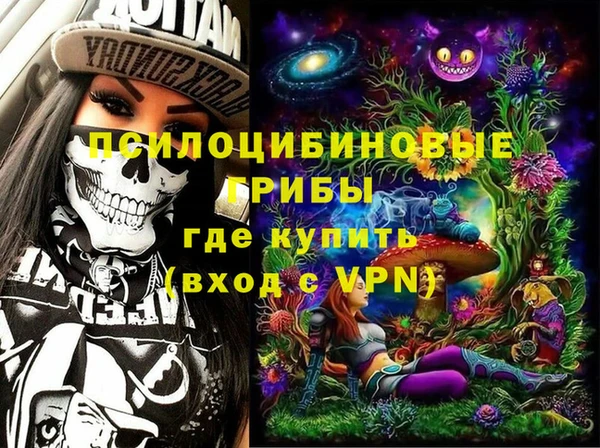 синтетический гашиш Зеленодольск